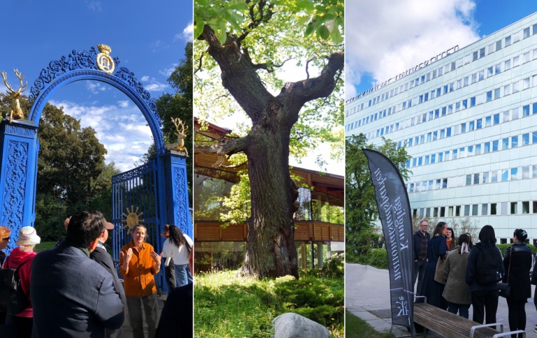 Bilder från några av vårens visningar i Nationalstadsparken.