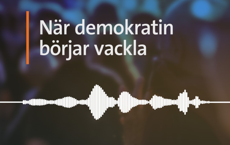 Öppna föreläsningar demokrati